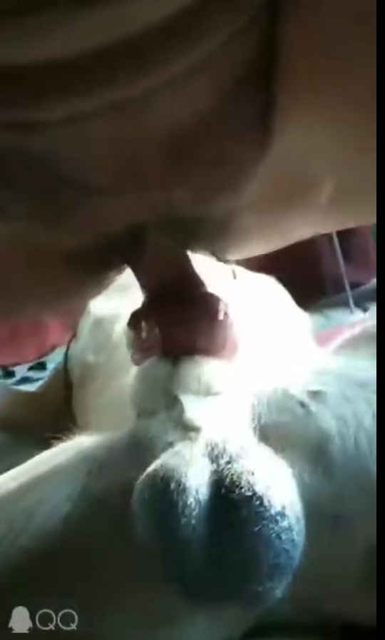 人兽系列五（2.58G）