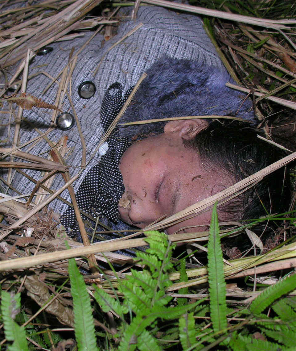 萝莉师检图集（1.44G）