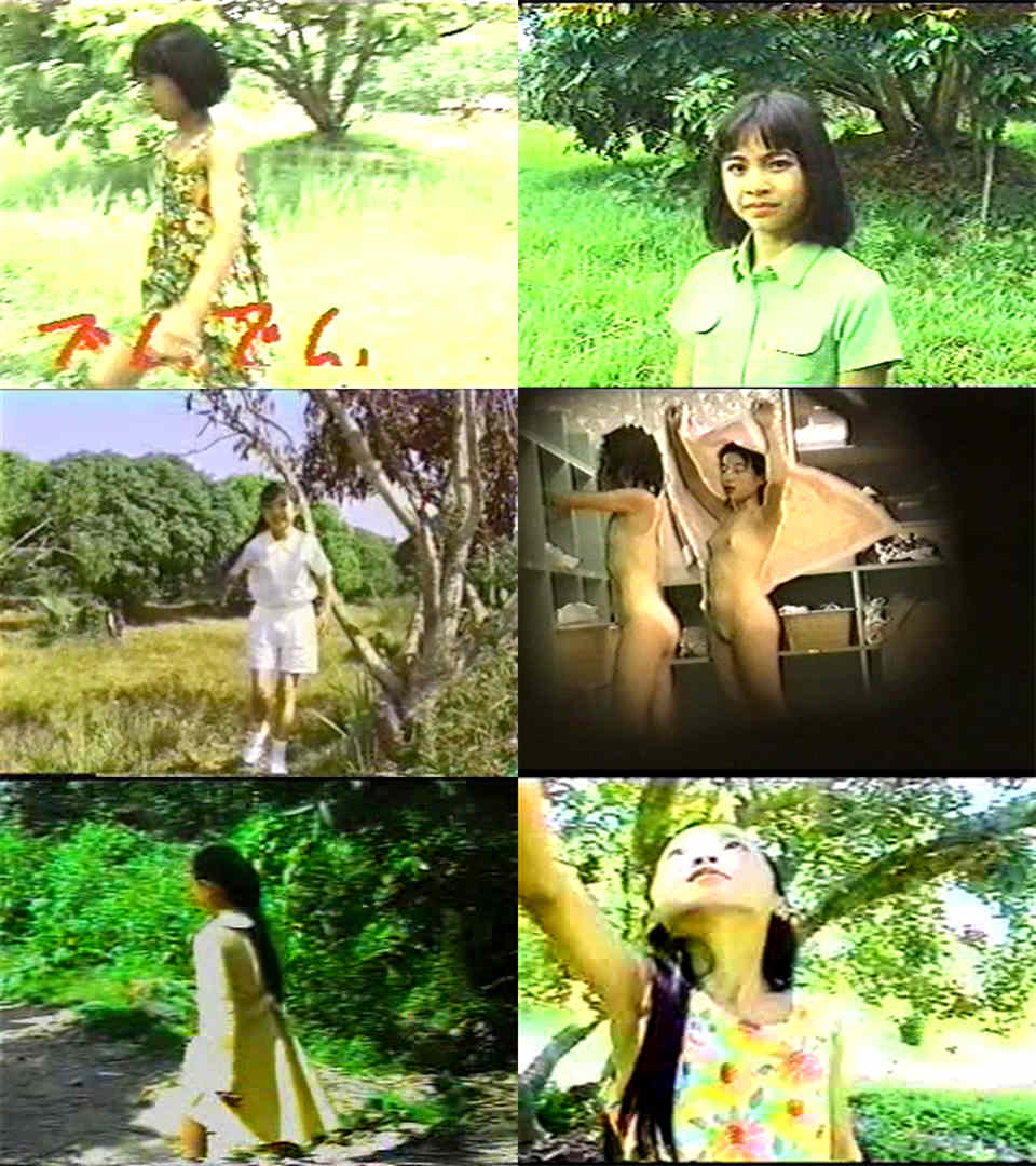 日本老旧视频写真合集（140G）